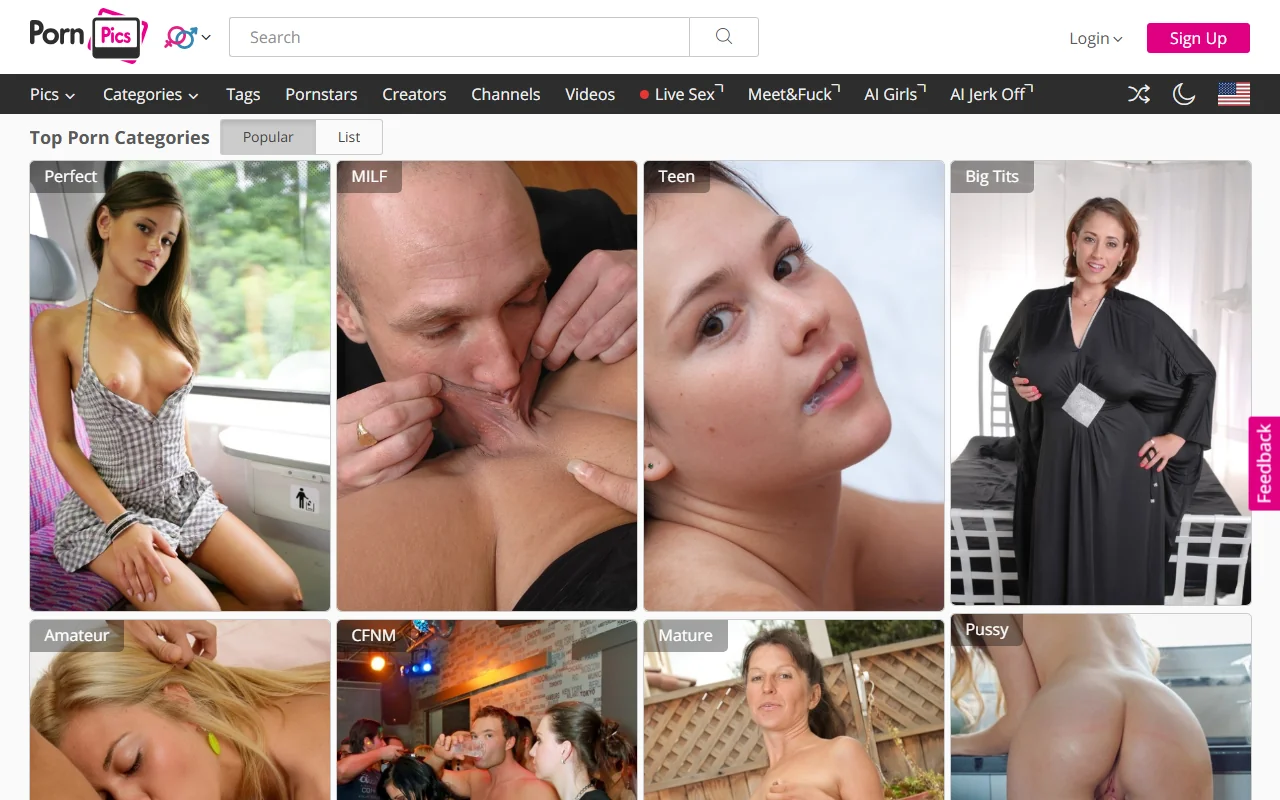 Screenshot of Pornpics Freeuse Website Review